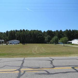Photo of SOLD!  43 Acres of Hunting and Timber Land For Sale in Columbus County NC!