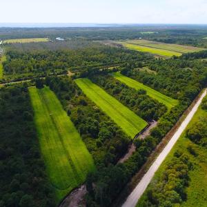 Photo of 251 Acres of Recreational Hunting Land with Lodge For Sale in Hyde County NC!