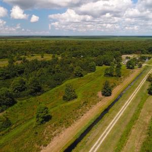 Photo of 251 Acres of Recreational Hunting Land with Lodge For Sale in Hyde County NC!