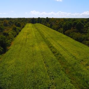Photo of 251 Acres of Recreational Hunting Land with Lodge For Sale in Hyde County NC!