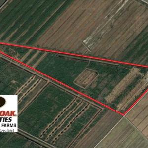 Photo of 251 Acres of Recreational Hunting Land with Lodge For Sale in Hyde County NC!