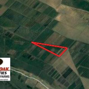 Photo of 251 Acres of Recreational Hunting Land with Lodge For Sale in Hyde County NC!