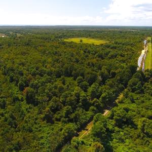 Photo of 251 Acres of Recreational Hunting Land with Lodge For Sale in Hyde County NC!