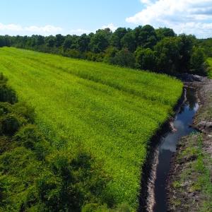 Photo of 251 Acres of Recreational Hunting Land with Lodge For Sale in Hyde County NC!
