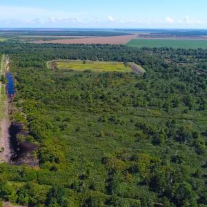 Photo of 251 Acres of Recreational Hunting Land with Lodge For Sale in Hyde County NC!
