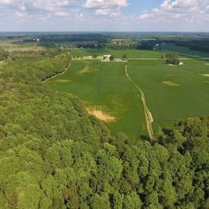 Photo of UNDER CONTRACT!  43 Acres of Farm and Timber Land For Sale in Wilson County NC!