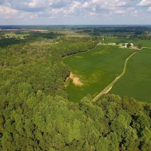 Photo of UNDER CONTRACT!  43 Acres of Farm and Timber Land For Sale in Wilson County NC!