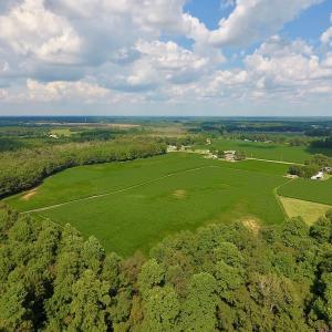 Photo of UNDER CONTRACT!  43 Acres of Farm and Timber Land For Sale in Wilson County NC!