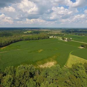 Photo of UNDER CONTRACT!  43 Acres of Farm and Timber Land For Sale in Wilson County NC!