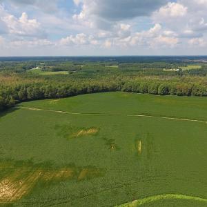 Photo of UNDER CONTRACT!  43 Acres of Farm and Timber Land For Sale in Wilson County NC!