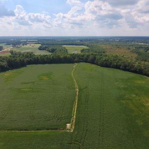 Photo of UNDER CONTRACT!  43 Acres of Farm and Timber Land For Sale in Wilson County NC!