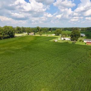 Photo of UNDER CONTRACT!  43 Acres of Farm and Timber Land For Sale in Wilson County NC!