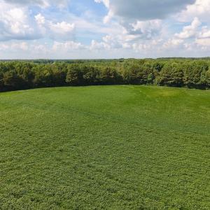 Photo of UNDER CONTRACT!  43 Acres of Farm and Timber Land For Sale in Wilson County NC!