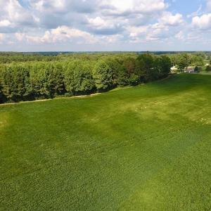 Photo of UNDER CONTRACT!  43 Acres of Farm and Timber Land For Sale in Wilson County NC!