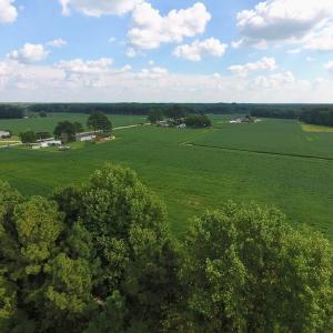 Photo of UNDER CONTRACT!  43 Acres of Farm and Timber Land For Sale in Wilson County NC!