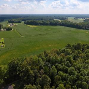 Photo of UNDER CONTRACT!  43 Acres of Farm and Timber Land For Sale in Wilson County NC!