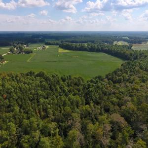 Photo of UNDER CONTRACT!  43 Acres of Farm and Timber Land For Sale in Wilson County NC!