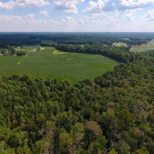 Photo of UNDER CONTRACT!  43 Acres of Farm and Timber Land For Sale in Wilson County NC!