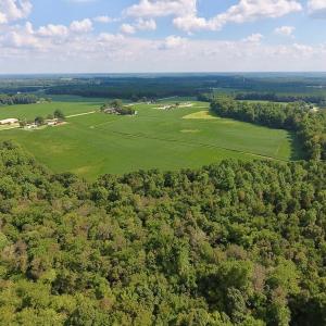Photo of UNDER CONTRACT!  43 Acres of Farm and Timber Land For Sale in Wilson County NC!