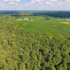 Photo of UNDER CONTRACT!  43 Acres of Farm and Timber Land For Sale in Wilson County NC!