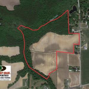 Photo of UNDER CONTRACT!  43 Acres of Farm and Timber Land For Sale in Wilson County NC!