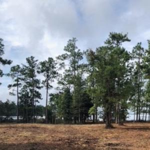 Photo of UNDER CONTRACT!  1.24 Acre Waterfront Lot For Sale on the Bay River in Pamlico County NC!