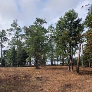 Photo of UNDER CONTRACT!  1.24 Acre Waterfront Lot For Sale on the Bay River in Pamlico County NC!