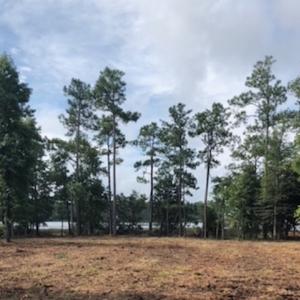 Photo of UNDER CONTRACT!  1.24 Acre Waterfront Lot For Sale on the Bay River in Pamlico County NC!