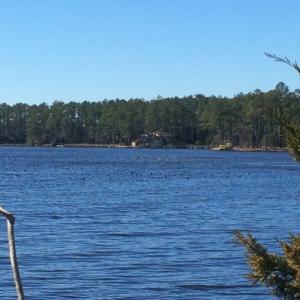 Photo of UNDER CONTRACT!  1.24 Acre Waterfront Lot For Sale on the Bay River in Pamlico County NC!