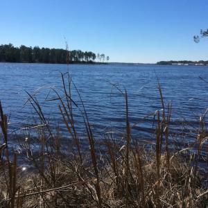 Photo of UNDER CONTRACT!  1.24 Acre Waterfront Lot For Sale on the Bay River in Pamlico County NC!