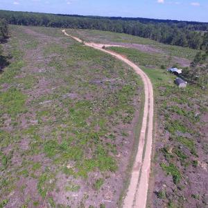 Photo of UNDER CONTRACT!  109 Acres of Recreational Hunting Land For Sale in Brunswick County VA!
