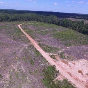 Photo of UNDER CONTRACT!  109 Acres of Recreational Hunting Land For Sale in Brunswick County VA!