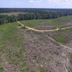 Photo of UNDER CONTRACT!  109 Acres of Recreational Hunting Land For Sale in Brunswick County VA!