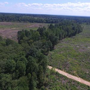Photo of UNDER CONTRACT!  109 Acres of Recreational Hunting Land For Sale in Brunswick County VA!