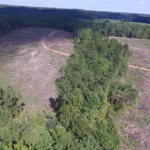 Photo of UNDER CONTRACT!  109 Acres of Recreational Hunting Land For Sale in Brunswick County VA!