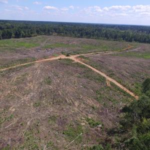 Photo of UNDER CONTRACT!  109 Acres of Recreational Hunting Land For Sale in Brunswick County VA!