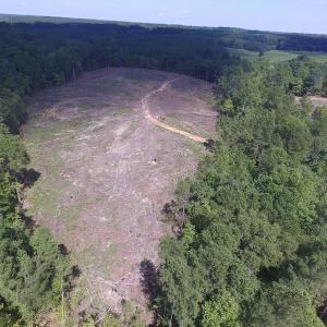 Photo of UNDER CONTRACT!  109 Acres of Recreational Hunting Land For Sale in Brunswick County VA!