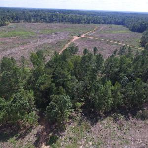 Photo of UNDER CONTRACT!  109 Acres of Recreational Hunting Land For Sale in Brunswick County VA!