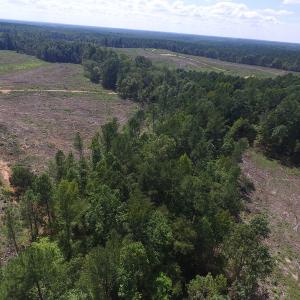 Photo of UNDER CONTRACT!  109 Acres of Recreational Hunting Land For Sale in Brunswick County VA!