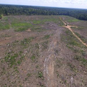 Photo of UNDER CONTRACT!  109 Acres of Recreational Hunting Land For Sale in Brunswick County VA!