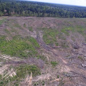 Photo of UNDER CONTRACT!  109 Acres of Recreational Hunting Land For Sale in Brunswick County VA!