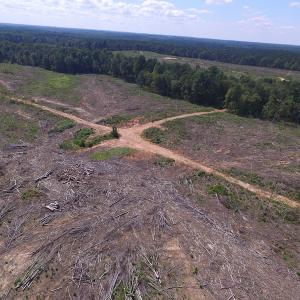 Photo of UNDER CONTRACT!  109 Acres of Recreational Hunting Land For Sale in Brunswick County VA!