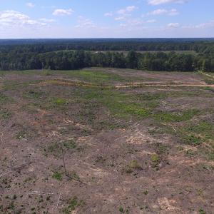 Photo of UNDER CONTRACT!  109 Acres of Recreational Hunting Land For Sale in Brunswick County VA!