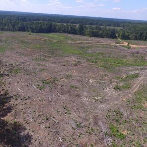 Photo of UNDER CONTRACT!  109 Acres of Recreational Hunting Land For Sale in Brunswick County VA!