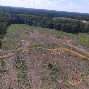 Photo of UNDER CONTRACT!  109 Acres of Recreational Hunting Land For Sale in Brunswick County VA!