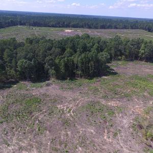 Photo of UNDER CONTRACT!  109 Acres of Recreational Hunting Land For Sale in Brunswick County VA!