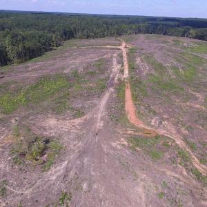 Photo of UNDER CONTRACT!  109 Acres of Recreational Hunting Land For Sale in Brunswick County VA!