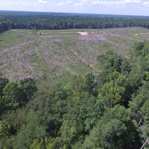 Photo of UNDER CONTRACT!  109 Acres of Recreational Hunting Land For Sale in Brunswick County VA!
