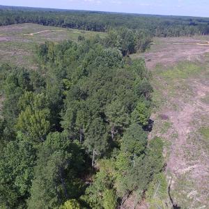 Photo of UNDER CONTRACT!  109 Acres of Recreational Hunting Land For Sale in Brunswick County VA!