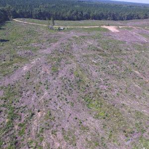 Photo of UNDER CONTRACT!  109 Acres of Recreational Hunting Land For Sale in Brunswick County VA!